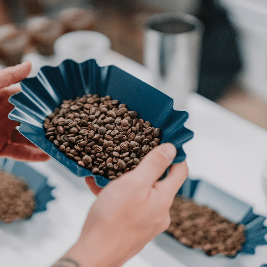 Brewtool Blue Bean Tray